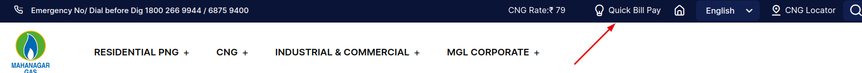 mgl online quick bill pay