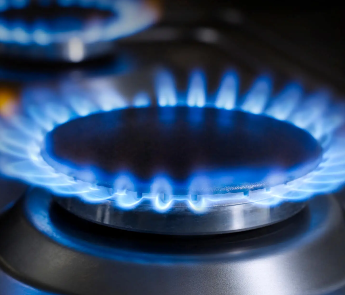 Save LPG Gas with these Tips: जल्दी नहीं खत्म होगा सिलेंडर, रसोई गैस बचाने के 5 आसान तरीके