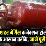 Address Change: शहर बदलने पर गैस कनेक्शन कैसे ट्रांसफर करें? ऑनलाइन और ऑफलाइन दोनों तरीके।